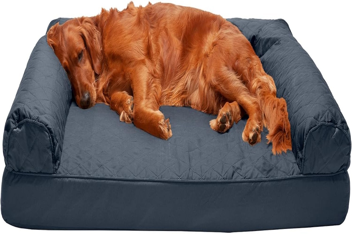 Golden Retriever lying on the Furhaven orthopedic dog bed with a plush bolster, looking relaxed.