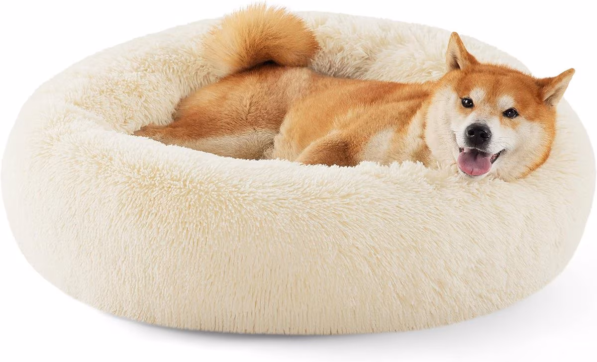 Shibu Inu curled up on a calming dog beds designed for anxious dogs