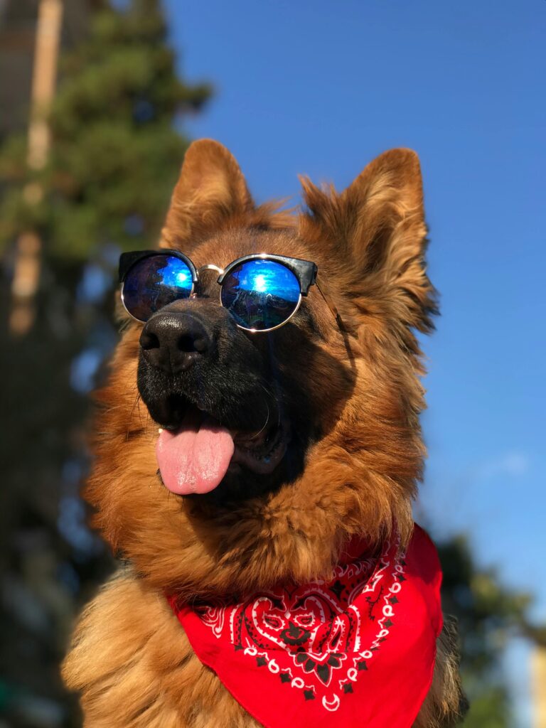 cooling mats for dogs