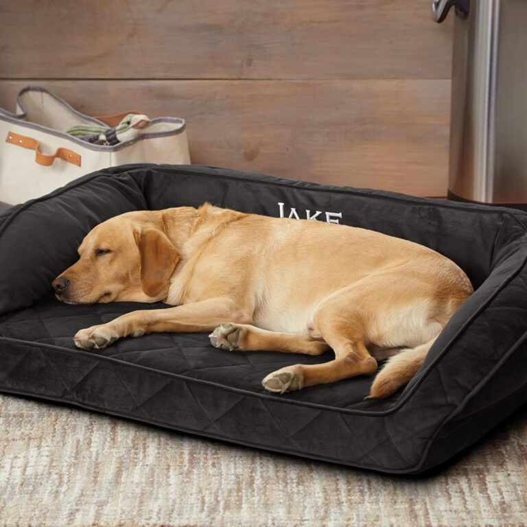 Senior dog resting on a PetFusion Memory Foam Bed - 90-day comfort test review